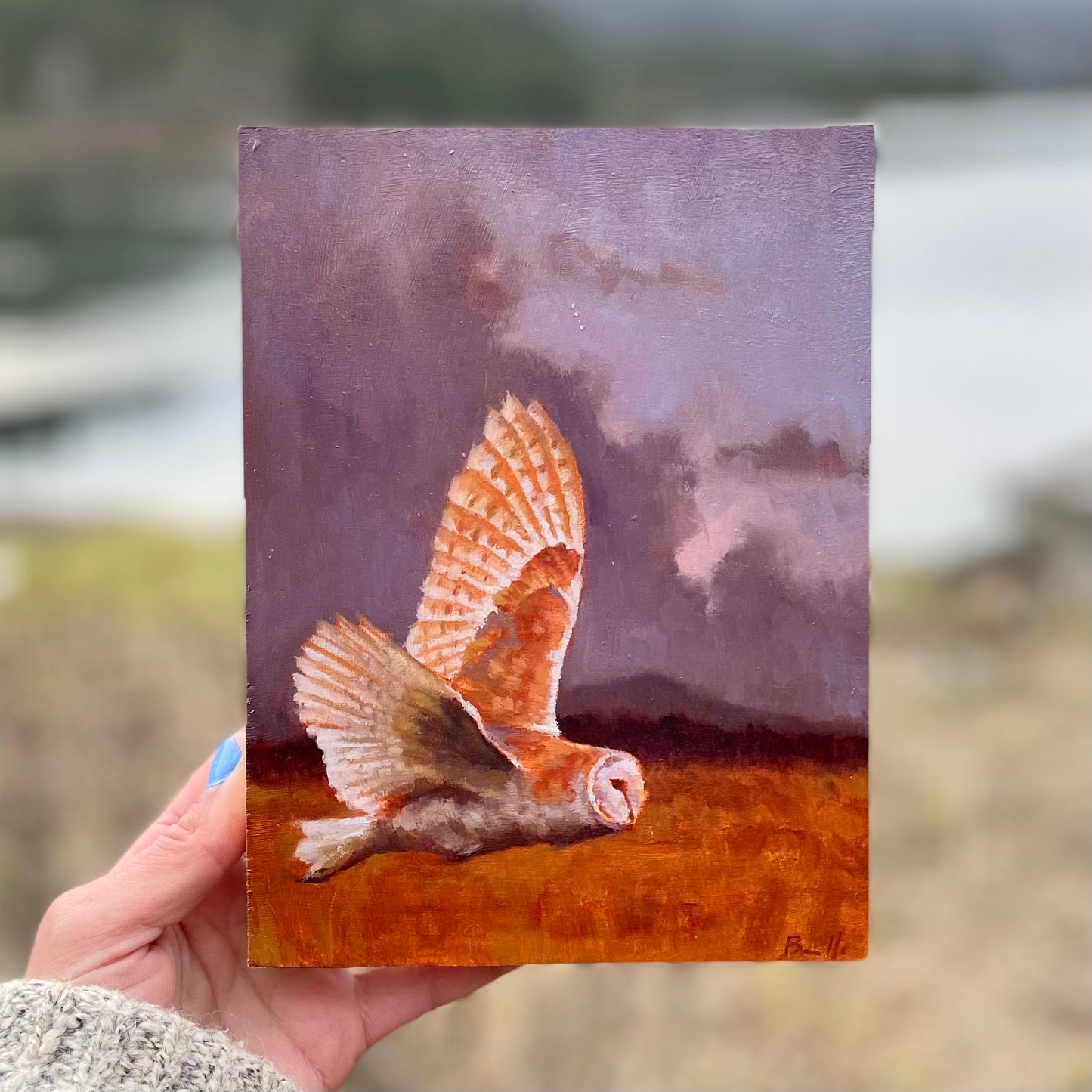 Barn Owl