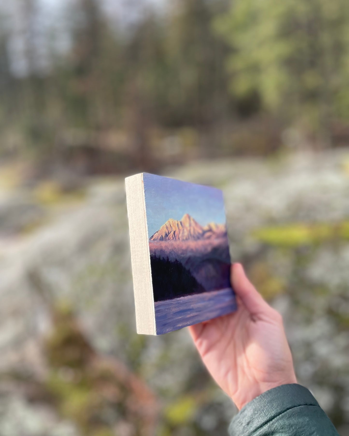 Kaslo Mountains