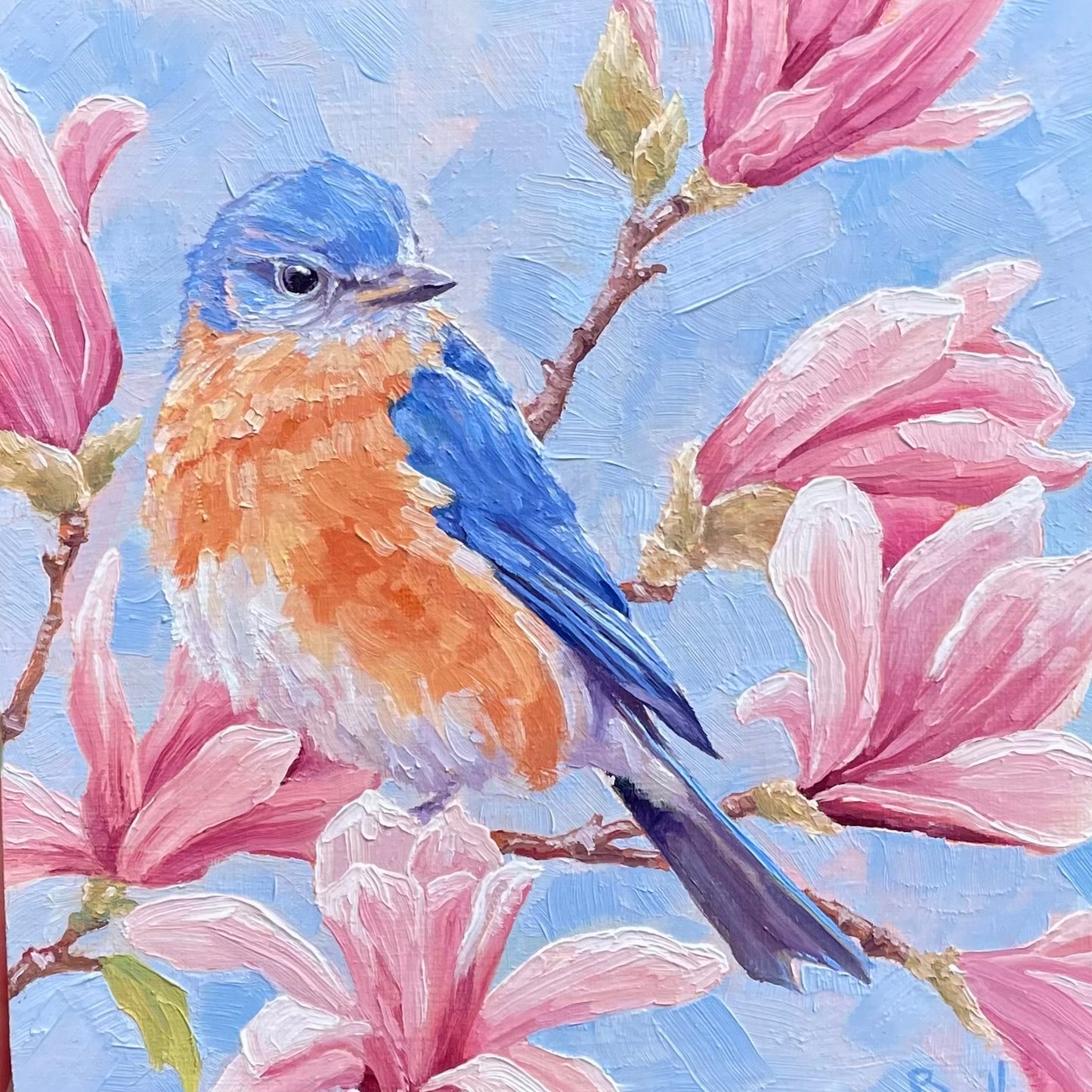 Eastern Bluebird with Magnolia Flowers